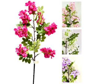 Wisteria glicynia gałązka wisterii zwis kwiatowy złotokap 90cm ciemny róż