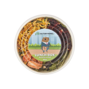 Przysmak dla ŚWINKI MORSKIEJ - LUNCH BOX dla świnki morskiej