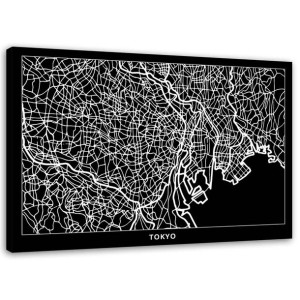 OBRAZ NA PŁÓTNIE Tokio Plan Miasta 60x40
