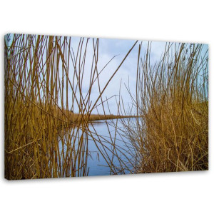 OBRAZ NA PŁÓTNIE Trawa jezioro natura 90x60