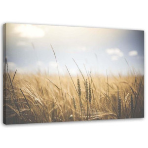 OBRAZ NA PŁÓTNIE Zboże Kłosy Natura Zólty 90x60