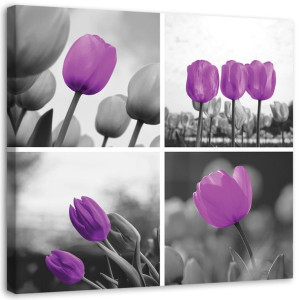 OBRAZ NA PŁÓTNIE Zestaw Tulipany Fioletowy 50x50