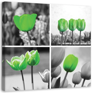 OBRAZ NA PŁÓTNIE Zestaw Zielone Tulipany 40x40