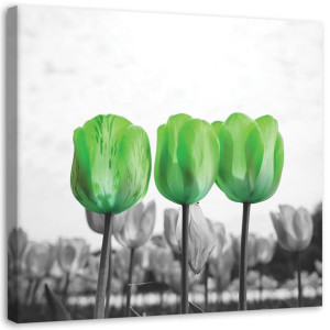 OBRAZ NA PŁÓTNIE Kwiaty Zielone Tulipany 30x30