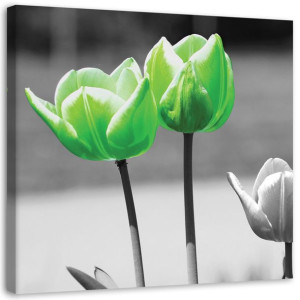 OBRAZ NA PŁÓTNIE Tulipany Kwiaty Zielony 40x40