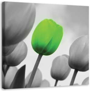 OBRAZ NA PŁÓTNIE Tulipany Zielony Szary 50x50