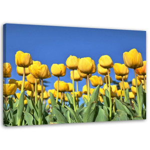 OBRAZ NA PŁÓTNIE Tulipany Kwiaty Natura 120x80