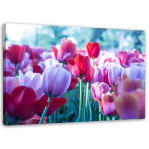 OBRAZ NA PŁÓTNIE Tulipany Czerwone Kwiaty 60x40
