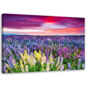 OBRAZ NA PŁÓTNIE Lawenda Pole Natura Lila 120x80