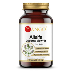 YANGO Alfalfa Lucerna Siewna 60 kaps.