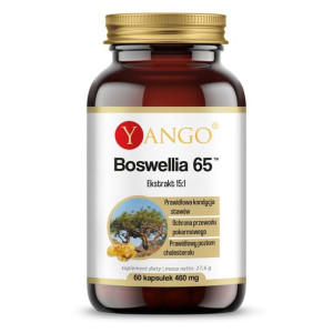 YANGO Boswellia 65™ 60 kaps.
