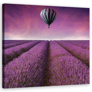 OBRAZ NA PŁÓTNIE Pole Lawendy Natura 30x30