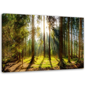 OBRAZ NA PŁÓTNIE Las Natura Blask Promieni 120x80