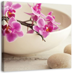 OBRAZ NA PŁÓTNIE Różowe orchidee Zen 50x50