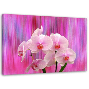 OBRAZ NA PŁÓTNIE Orchidea Storczyk Różowy 120x80