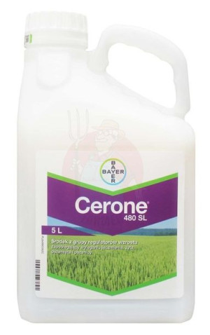 Cerone 480 SL 5 L