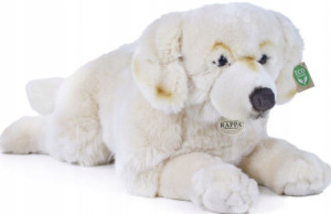 Pies Golden Retriever Maskotka Realistyczna 62cm
