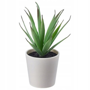 IKEA FEJKA Sztuczna roślina sukulent 6cm