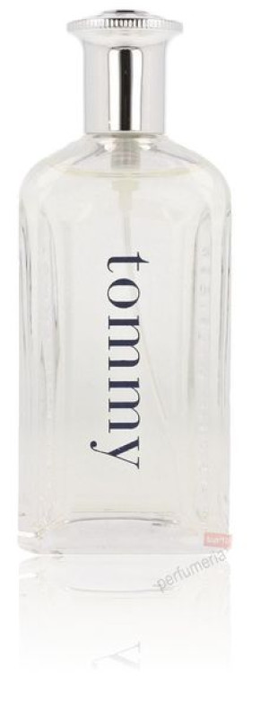 Tommy Hilfiger Tommy 100ml
