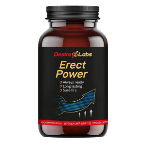 DESIRE LABS™ Erect Power™ 90 kaps.
