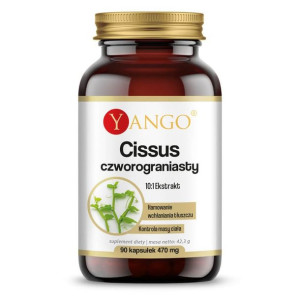 YANGO Cissus Czworograniasty 90 kaps.