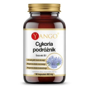YANGO Cykoria Podróżnik Ekstrakt 90 kaps.