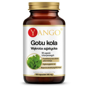 YANGO Gotu Kola Ekstrakt 10% Saponin Triterpenowych 100 kaps.