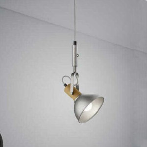 Ścienna LAMPA industrialna DELIA 305170167 Trio regulowana OPRAWA kinkiet s