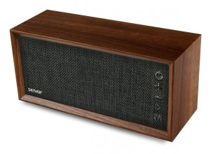 Denver Bts-210 Bezprzewodowy Głośnik Bluetooth, Dbts210gr