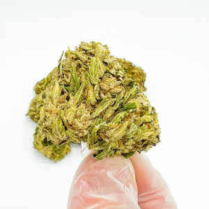 10g Susz Konopny CBG + CBGA 10% CBD