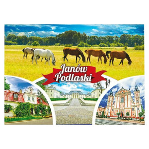 Pocztówka, widokówka, kartka pocztowa Janów Podlaski