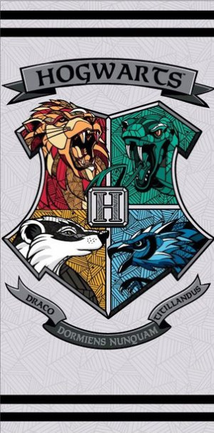 Ręcznik Harry Potter Mikrofibra Plażowy 70x140