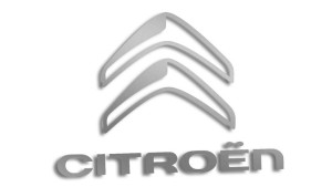 Wycinana naklejka CITROEN srebrna