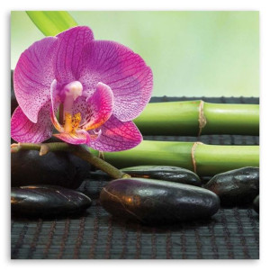 OBRAZ NA PŁÓTNIE DO SALONU Spa Zen Orchidea 30x30