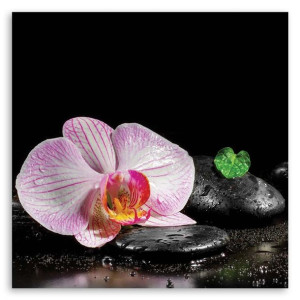 OBRAZ NA PŁÓTNIE DO SALONU Orchidea Zen 60x60