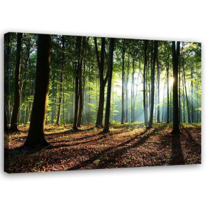 OBRAZ DO SALONU Widok na Zielony Las natura 90x60