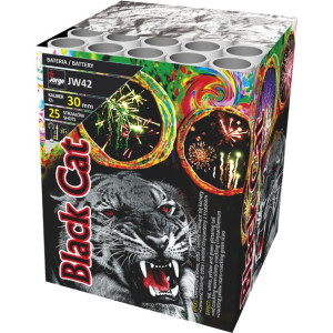 Jw42 - Black Cat