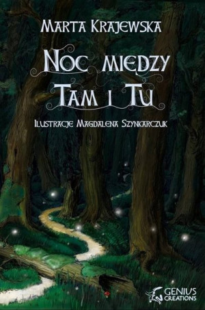 Noc między Tam i Tu Marta Krajewska