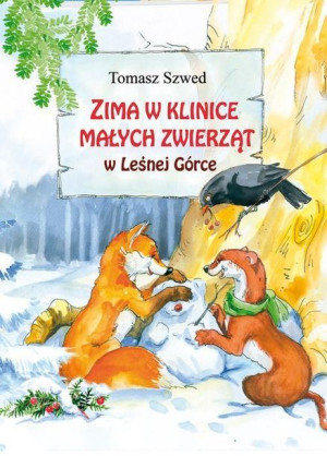 Zima w klinice Małych Zwierząt w Leśnej Górce Tomasz Szwed