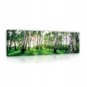 Obraz Las Brzozy Natura Do Sypialni Salonu 145x45