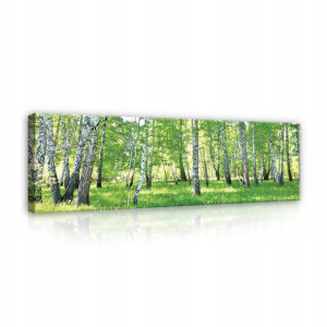 Obraz Las Na Płótnie Do Sypialni Salonu XXL 145x45