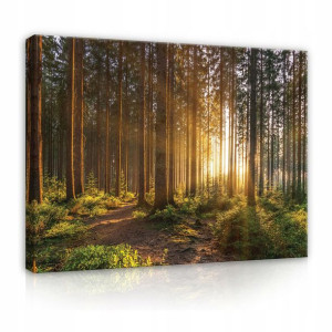 Obraz Las Na Płótnie Ścianę Do Salonu XXL 120x80