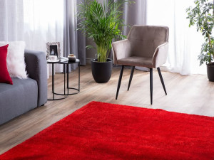Dywan 200 x 300 cm czerwony DEMRE