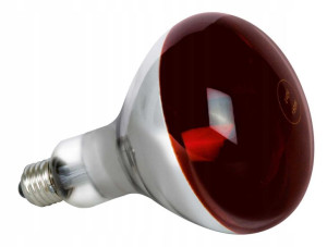 Żarówka E27 230v 150w Promiennik Czerowna