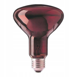 Żarówka R95 E27 230v 100w Promiennik Czerowna