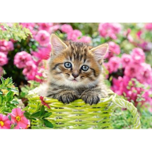 Puzzle 500 el. Kitten In Flower Garden Castorland
