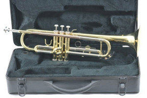 Ever Play T-336 Trąbka Złocona
