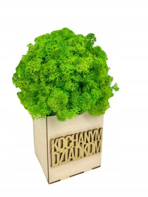 Mech Chrobotek W Doniczce Na Dzień Babci Dziadka