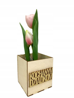 Tulipany W Doniczce Guma Na Dzień Dziadka I Babci