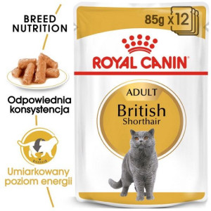Royal Canin British Shorthair karma mokra w sosie dla kotów dorosłych rasy